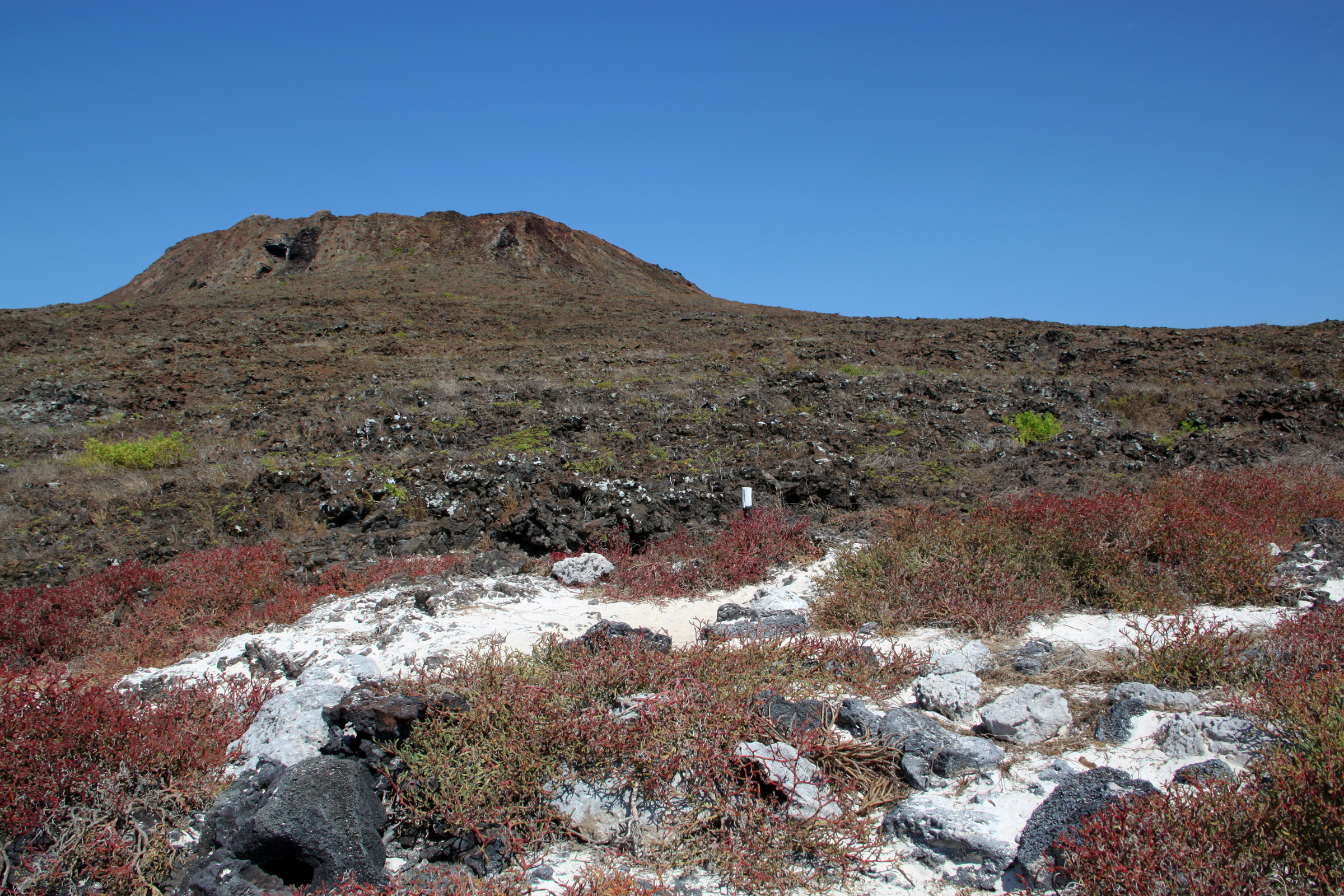 sombrero chino (chinese hat), galapagos islands 04.webp